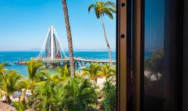 La Palapa 202