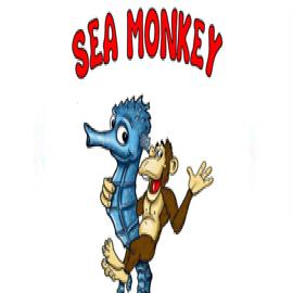 Sea Monkey